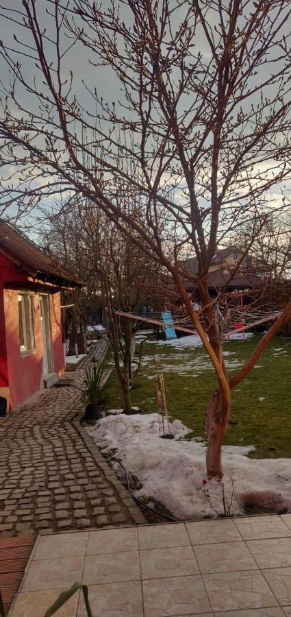 Casa Terzea Hotel Rîşnov Buitenkant foto